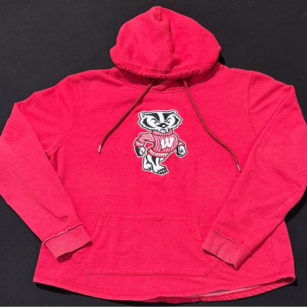University of Wisconsin hooded Embroidered Badger Sweatshirt Women’s Size Large